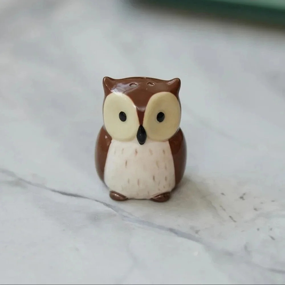 MINI Owl Salt and Pepper Shakers 🦉